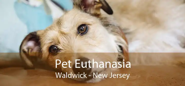 Pet Euthanasia Waldwick - New Jersey