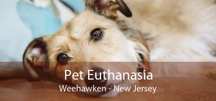 Pet Euthanasia Weehawken - New Jersey