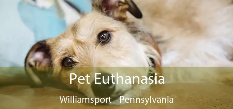 Pet Euthanasia Williamsport - Pennsylvania