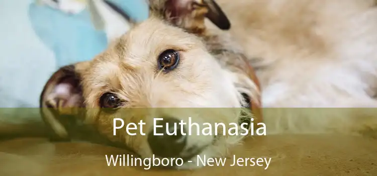 Pet Euthanasia Willingboro - New Jersey
