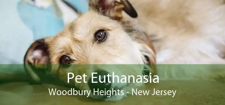 Pet Euthanasia Woodbury Heights - New Jersey
