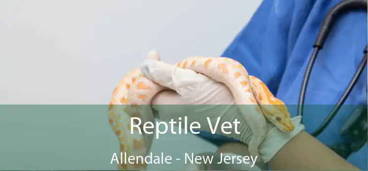 Reptile Vet Allendale - New Jersey