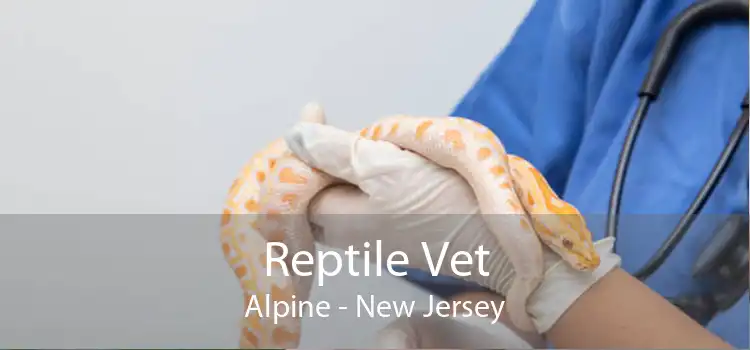 Reptile Vet Alpine - New Jersey