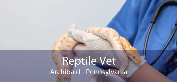 Reptile Vet Archibald - Pennsylvania