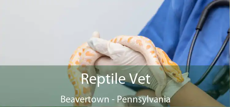 Reptile Vet Beavertown - Pennsylvania