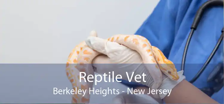 Reptile Vet Berkeley Heights - New Jersey