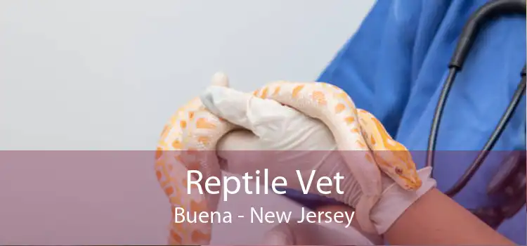 Reptile Vet Buena - New Jersey