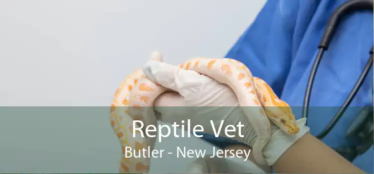 Reptile Vet Butler - New Jersey