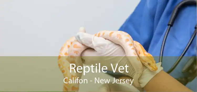 Reptile Vet Califon - New Jersey