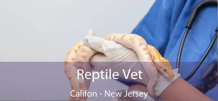 Reptile Vet Califon - New Jersey