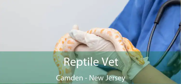 Reptile Vet Camden - New Jersey