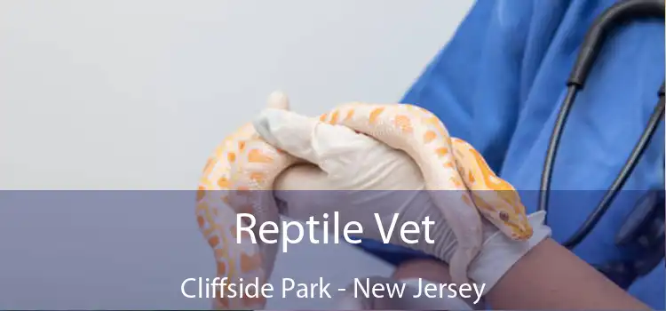 Reptile Vet Cliffside Park - New Jersey