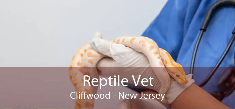 Reptile Vet Cliffwood - New Jersey