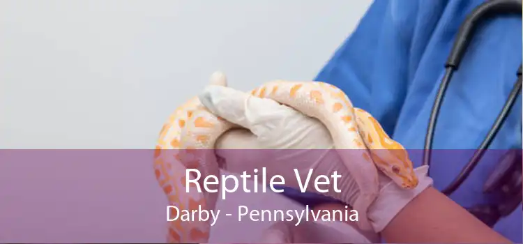 Reptile Vet Darby - Pennsylvania