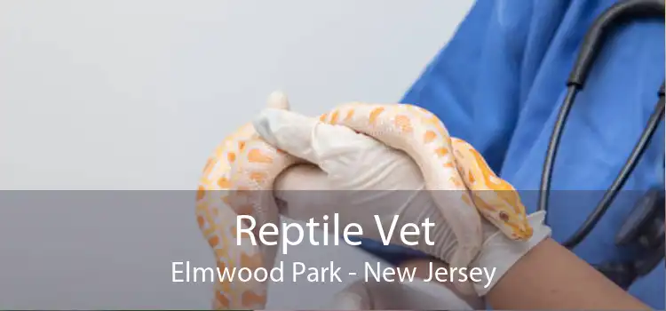 Reptile Vet Elmwood Park - New Jersey