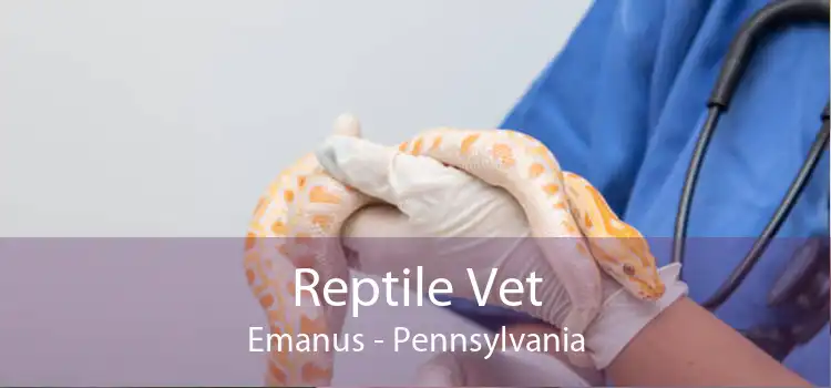 Reptile Vet Emanus - Pennsylvania