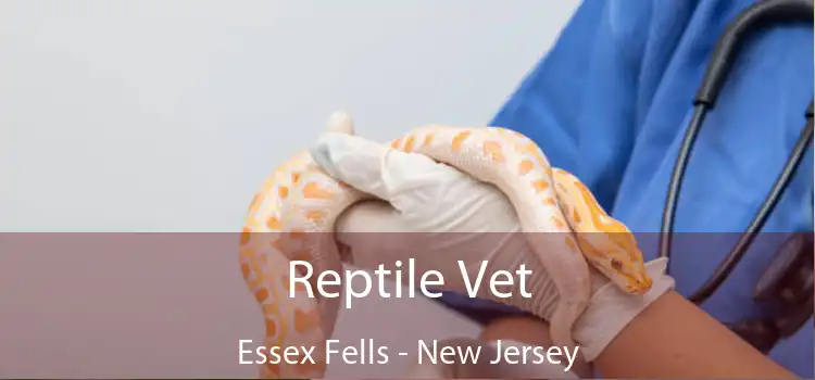 Reptile Vet Essex Fells - New Jersey