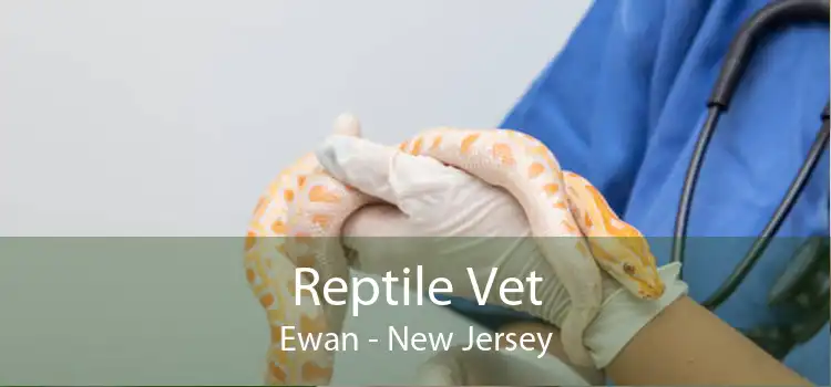 Reptile Vet Ewan - New Jersey