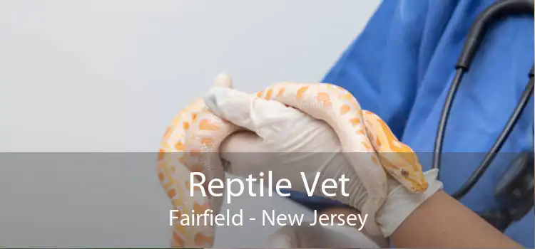 Reptile Vet Fairfield - New Jersey