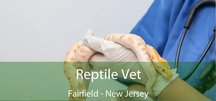 Reptile Vet Fairfield - New Jersey