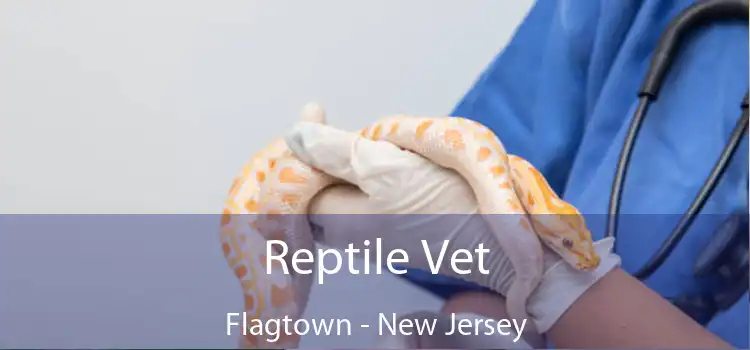 Reptile Vet Flagtown - New Jersey