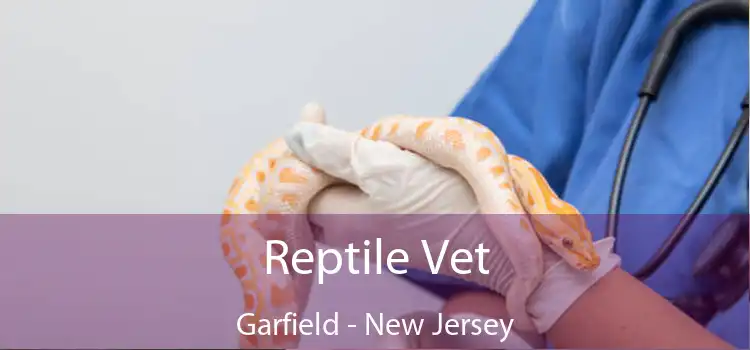 Reptile Vet Garfield - New Jersey