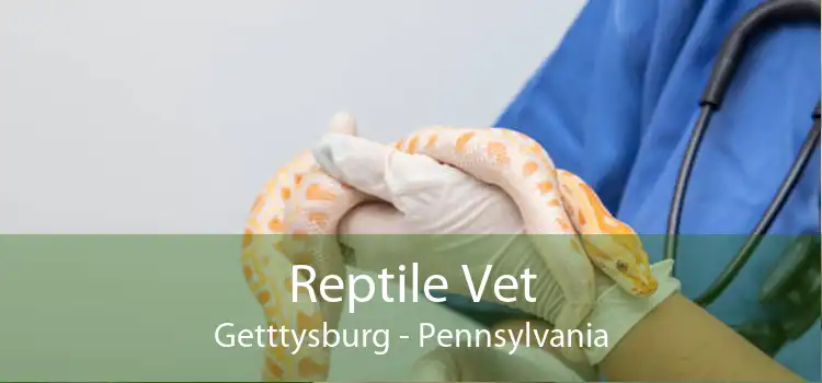 Reptile Vet Getttysburg - Pennsylvania