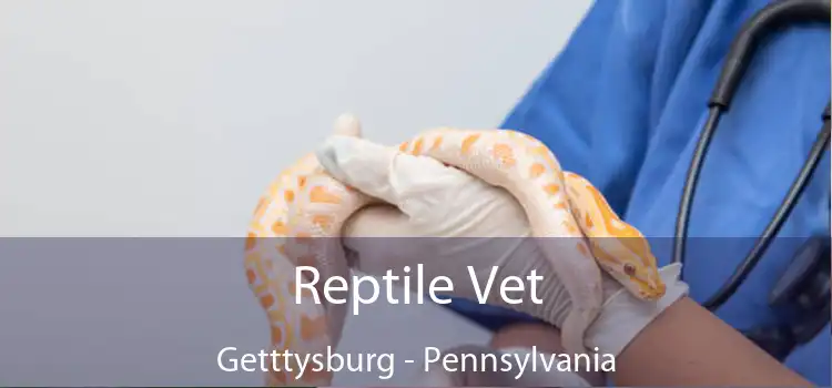Reptile Vet Getttysburg - Pennsylvania