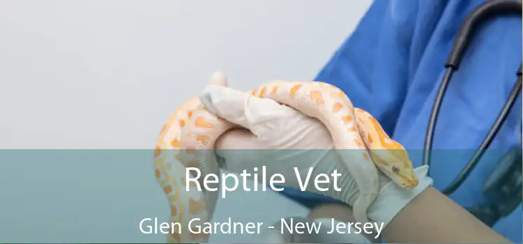 Reptile Vet Glen Gardner - New Jersey