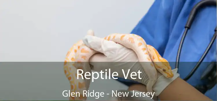 Reptile Vet Glen Ridge - New Jersey