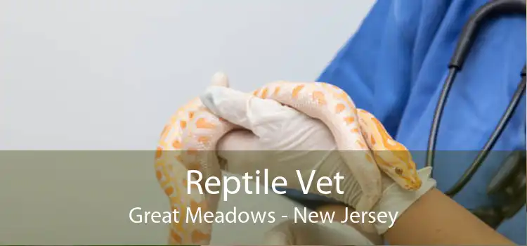 Reptile Vet Great Meadows - New Jersey