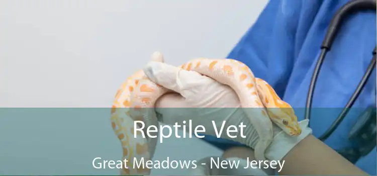 Reptile Vet Great Meadows - New Jersey