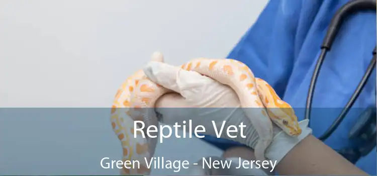 Reptile Vet Green Village - New Jersey