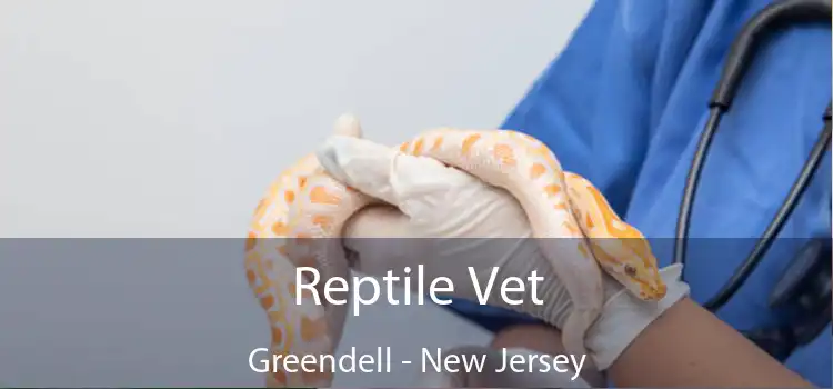 Reptile Vet Greendell - New Jersey