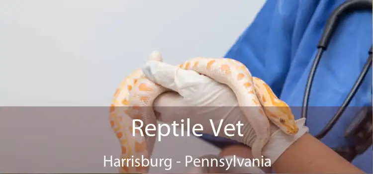 Reptile Vet Harrisburg - Pennsylvania