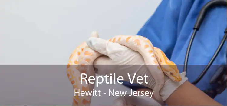 Reptile Vet Hewitt - New Jersey