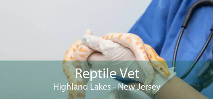 Reptile Vet Highland Lakes - New Jersey