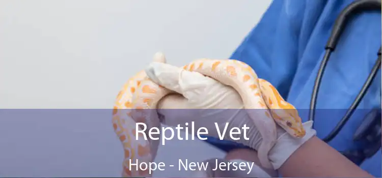 Reptile Vet Hope - New Jersey