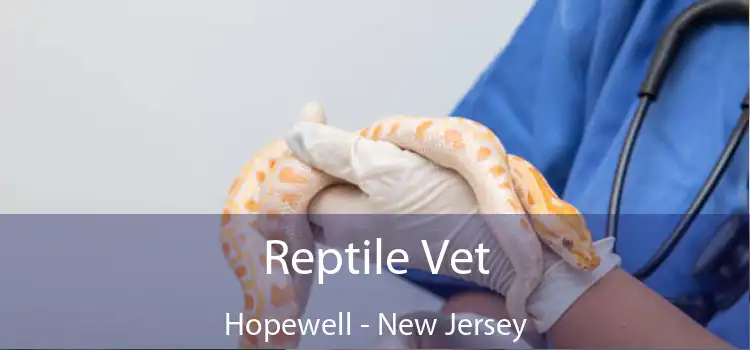 Reptile Vet Hopewell - New Jersey