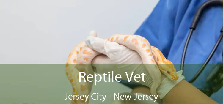 Reptile Vet Jersey City - New Jersey