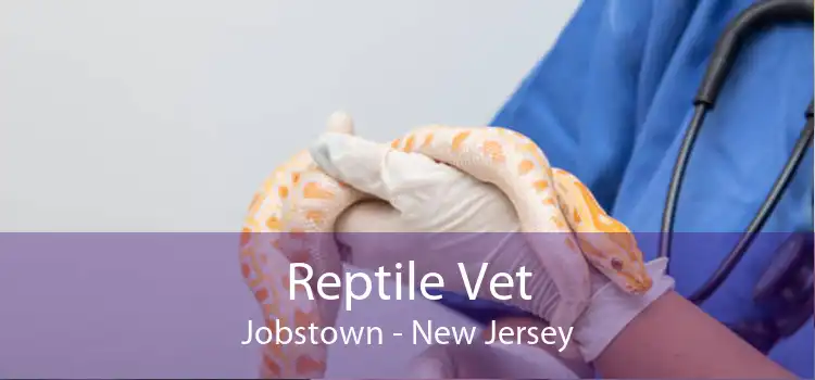 Reptile Vet Jobstown - New Jersey