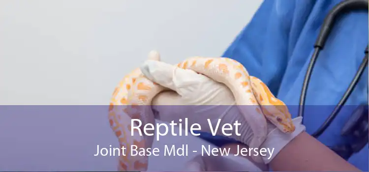 Reptile Vet Joint Base Mdl - New Jersey