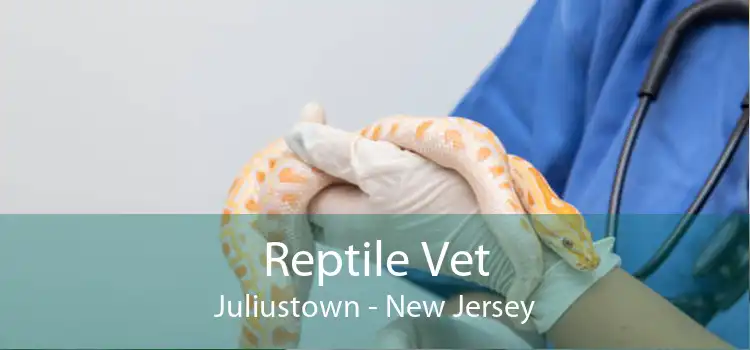 Reptile Vet Juliustown - New Jersey