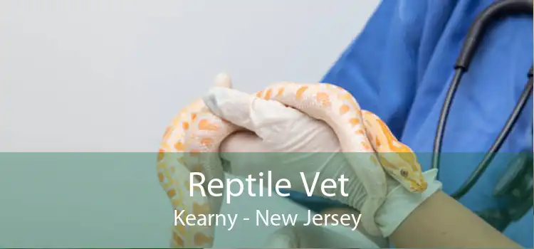 Reptile Vet Kearny - New Jersey