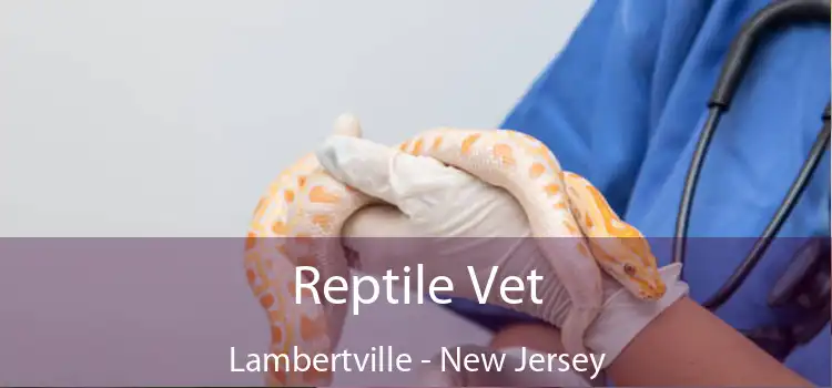 Reptile Vet Lambertville - New Jersey