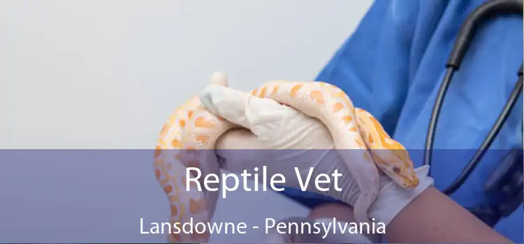 Reptile Vet Lansdowne - Pennsylvania