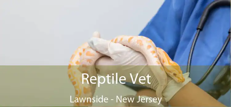 Reptile Vet Lawnside - New Jersey