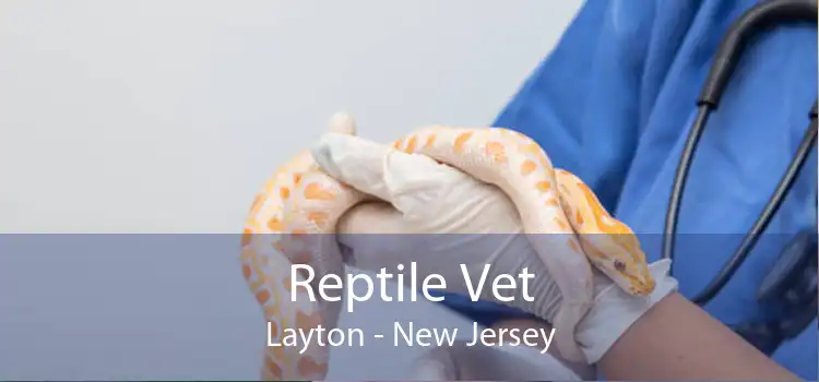 Reptile Vet Layton - New Jersey