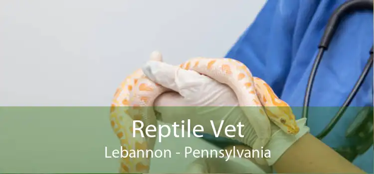 Reptile Vet Lebannon - Pennsylvania