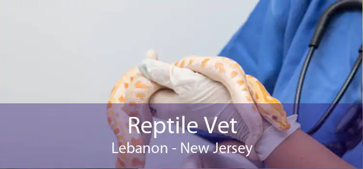 Reptile Vet Lebanon - New Jersey